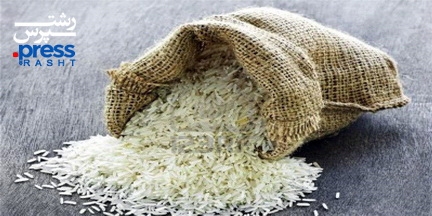 حمایت از برنج کاران در حد شعار باقی ماند/عرضه برنج خارجی با کیسه ایرانی