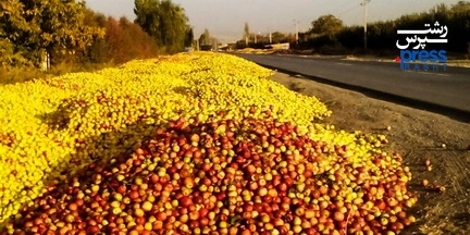 استدلال عجیب وزیر جهاد کشاورزی: انباشت سیب ها در کنار جاده ها یک روال سالیانه طبیعی است!/ واردات موز را به صادرات سیب گره زده ایم